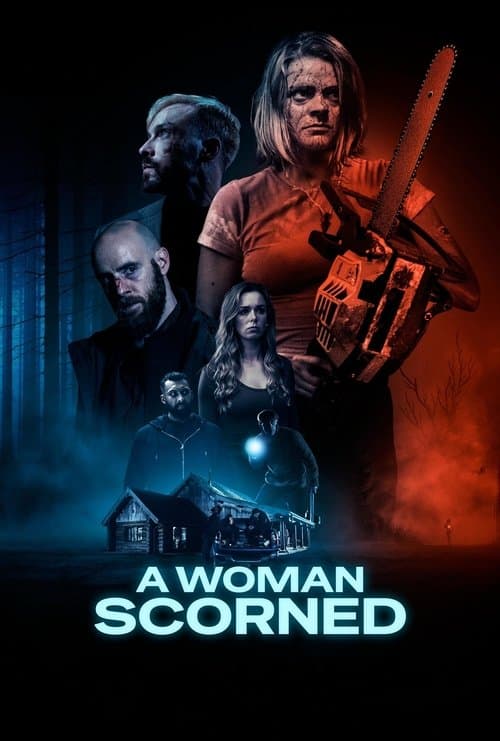 A Woman Scorned poster